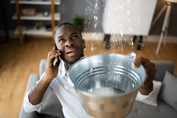 Best Basement water damage restoration  in Fulton, TX