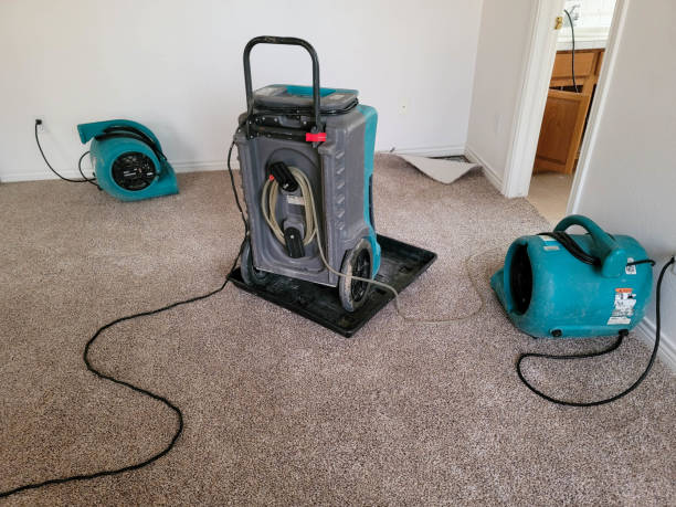 Best Commercial water damage restoration  in Fulton, TX