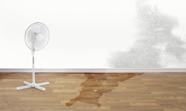Best Water damage cleanup near me  in Fulton, TX