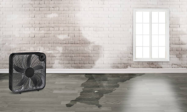 Best Ceiling water damage repair  in Fulton, TX