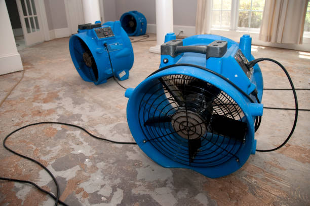 Best Fire Damage Restoration  in Fulton, TX